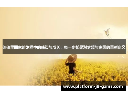佩德里回家的旅程中的感动与成长，每一步都是对梦想与家园的重新定义