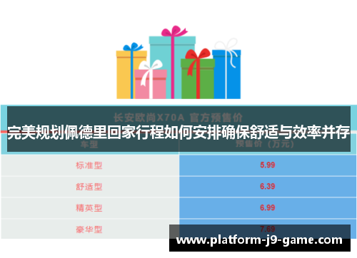 完美规划佩德里回家行程如何安排确保舒适与效率并存