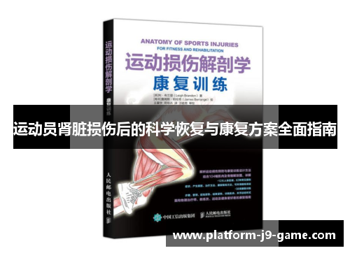 运动员肾脏损伤后的科学恢复与康复方案全面指南 运动员肾脏损伤后的科学恢复与康复方案全面指南