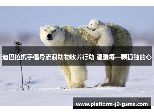 迪巴拉携手倡导流浪动物收养行动 温暖每一颗孤独的心 迪巴拉携手倡导流浪动物收养行动 温暖每一颗孤独的心