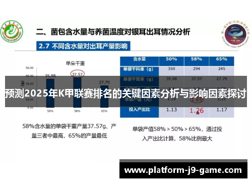预测2025年K甲联赛排名的关键因素分析与影响因素探讨