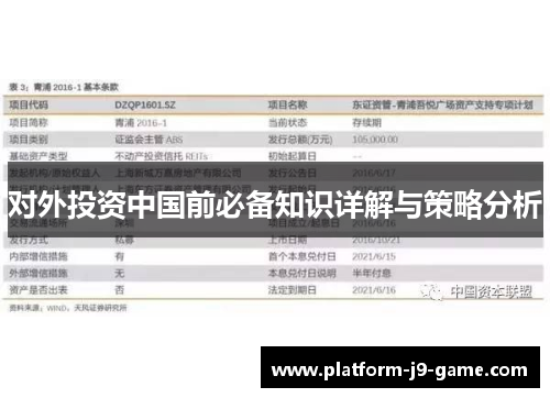 对外投资中国前必备知识详解与策略分析