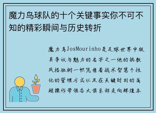 魔力鸟球队的十个关键事实你不可不知的精彩瞬间与历史转折 魔力鸟球队的十个关键事实你不可不知的精彩瞬间与历史转折