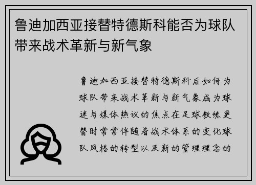 鲁迪加西亚接替特德斯科能否为球队带来战术革新与新气象 鲁迪加西亚接替特德斯科能否为球队带来战术革新与新气象